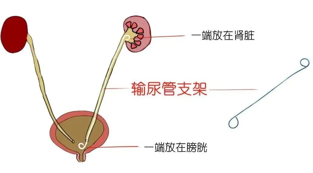 1737621999882486.jpg 微信图片_20250123164506.jpg