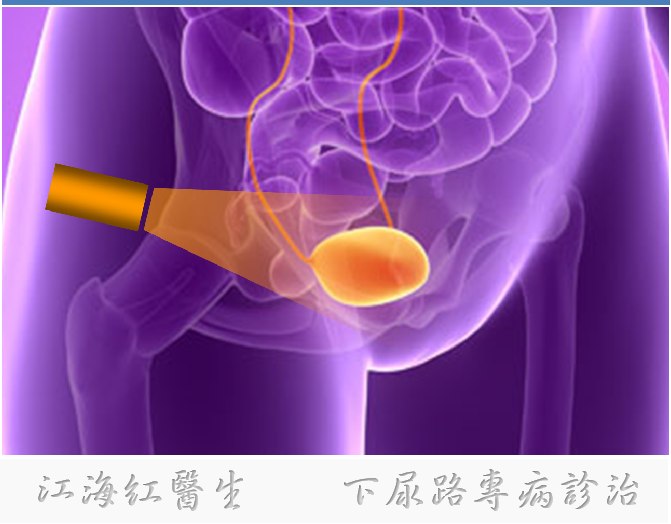 1737622552572825.png 微信图片_20250123165538.png