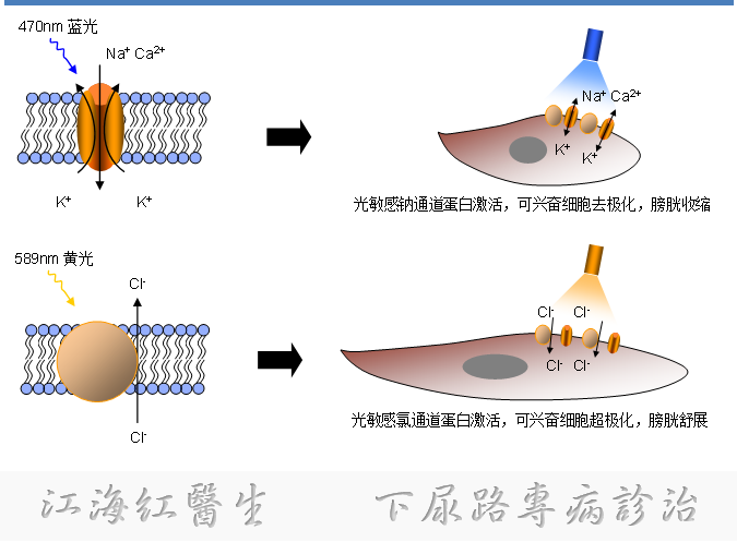 微信图片_20250123165846.png