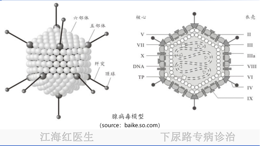 微信图片_20250123165902.png