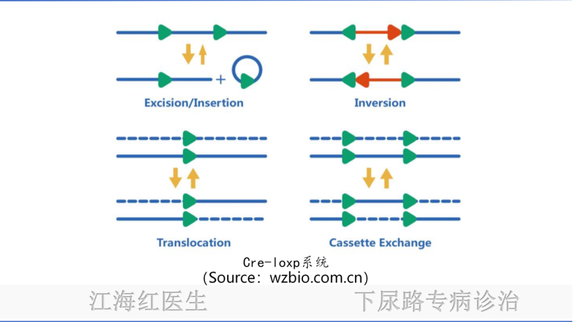 微信图片_20250123165919.png
