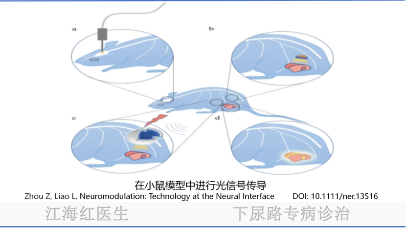 微信图片_20250123165938.png