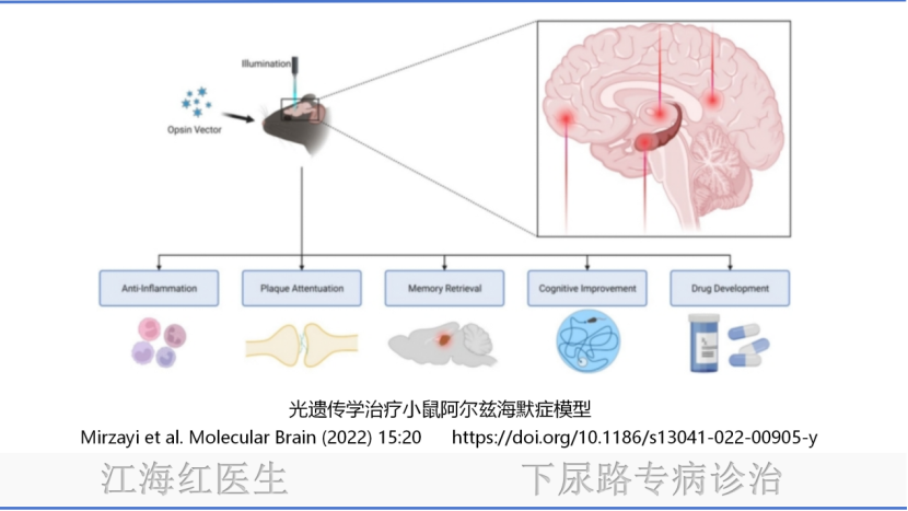 微信图片_20250211103834.png