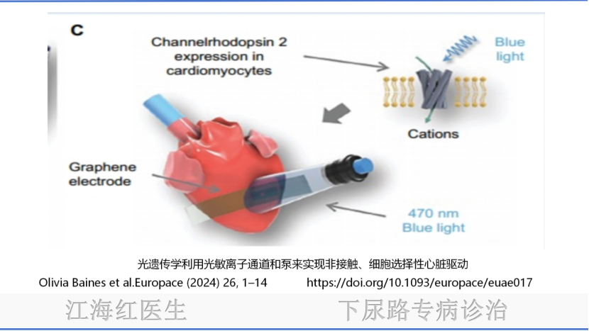 微信图片_20250211103952.png