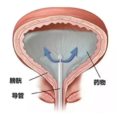 1739244674567913.jpg 微信图片_20250211113043.jpg