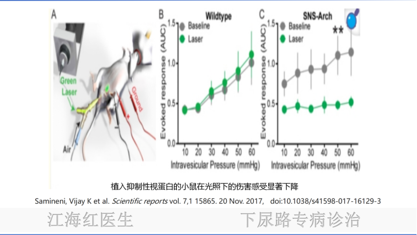1740107956829733.png 微信图片_20250221111906.png