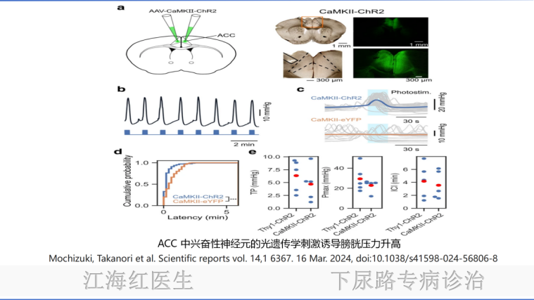 1740107988620526.png 微信图片_20250221111937.png