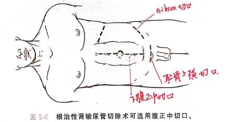 微信图片_20250324145115.jpg