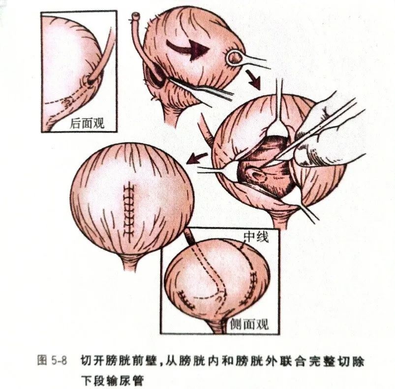 微信图片_20250324145132.jpg