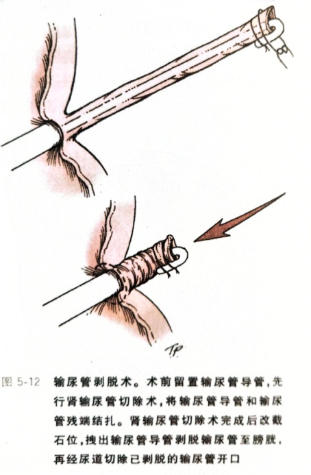 微信图片_20250324145246.png