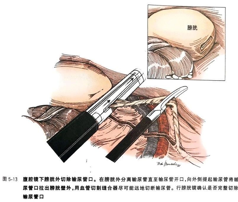 微信图片_20250324145304.jpg