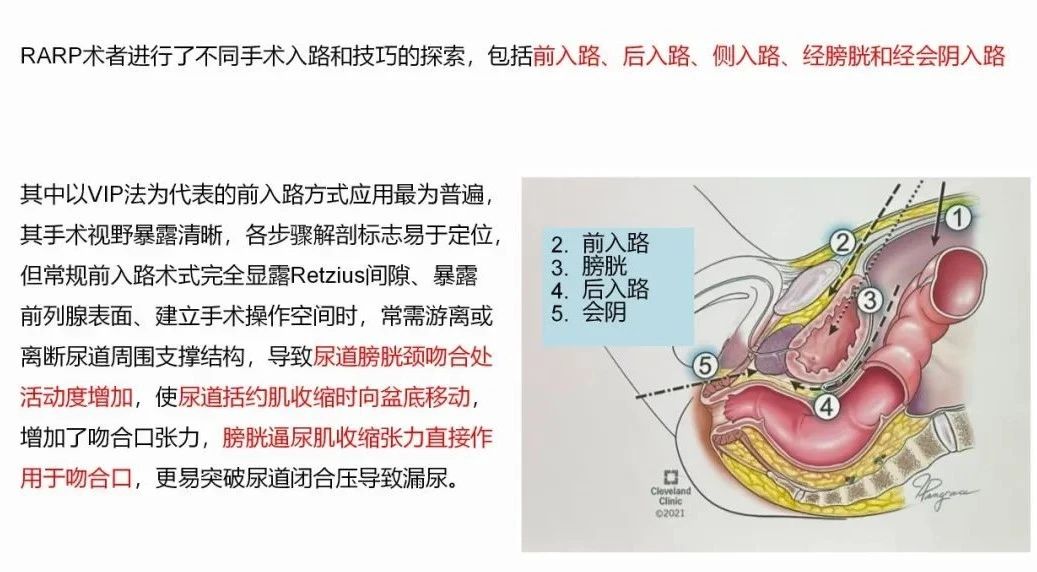1742802461505092.jpg 微信图片_20250324154420.jpg