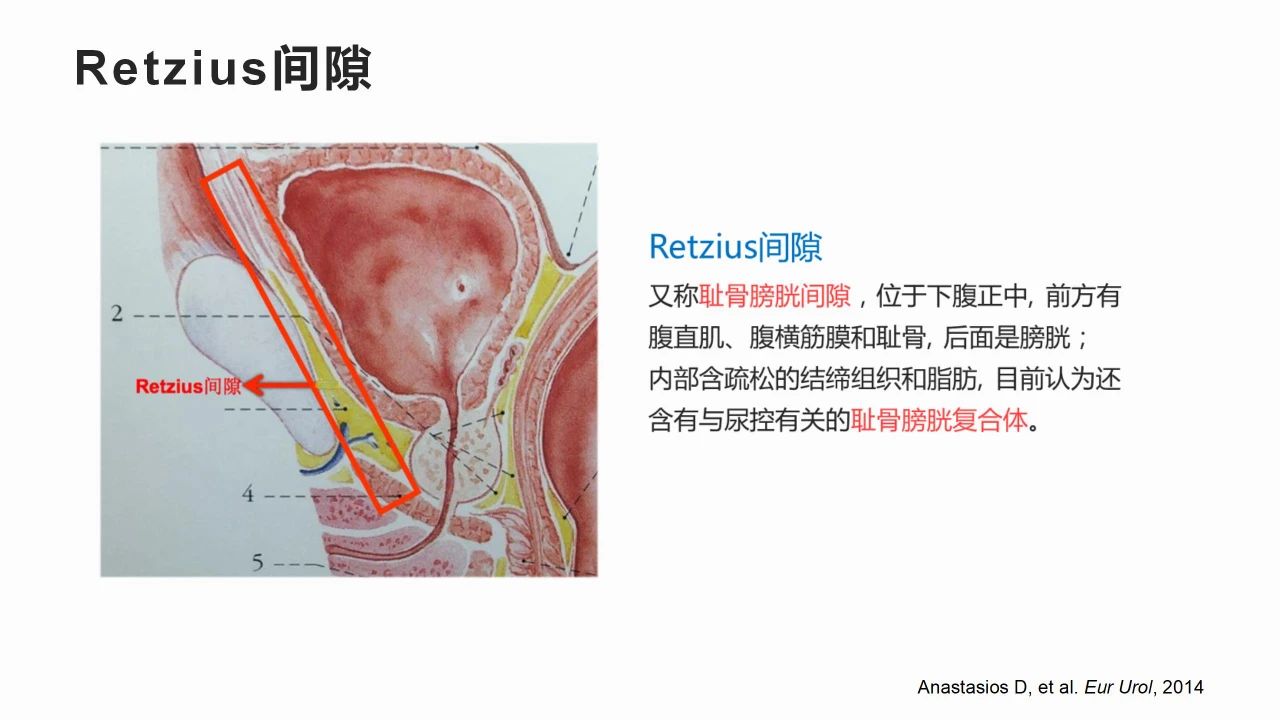 1742802536530721.jpg 微信图片_20250324154440.jpg