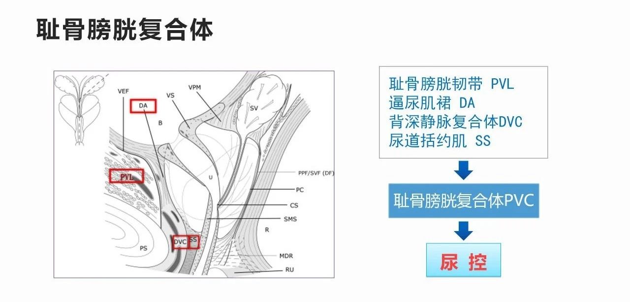 1742802543972180.jpg 微信图片_20250324154443.jpg