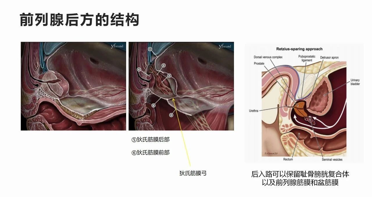 1742802551369668.jpg 微信图片_20250324154448.jpg
