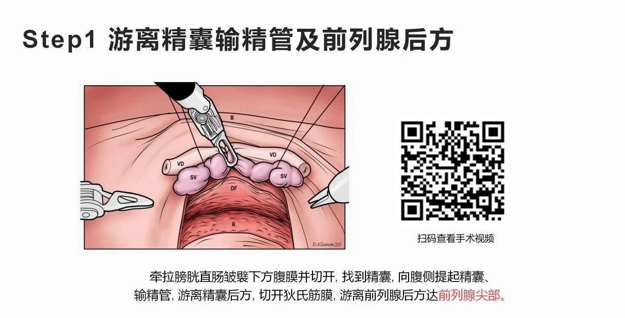 1742802563474324.jpg 微信图片_20250324154454.jpg