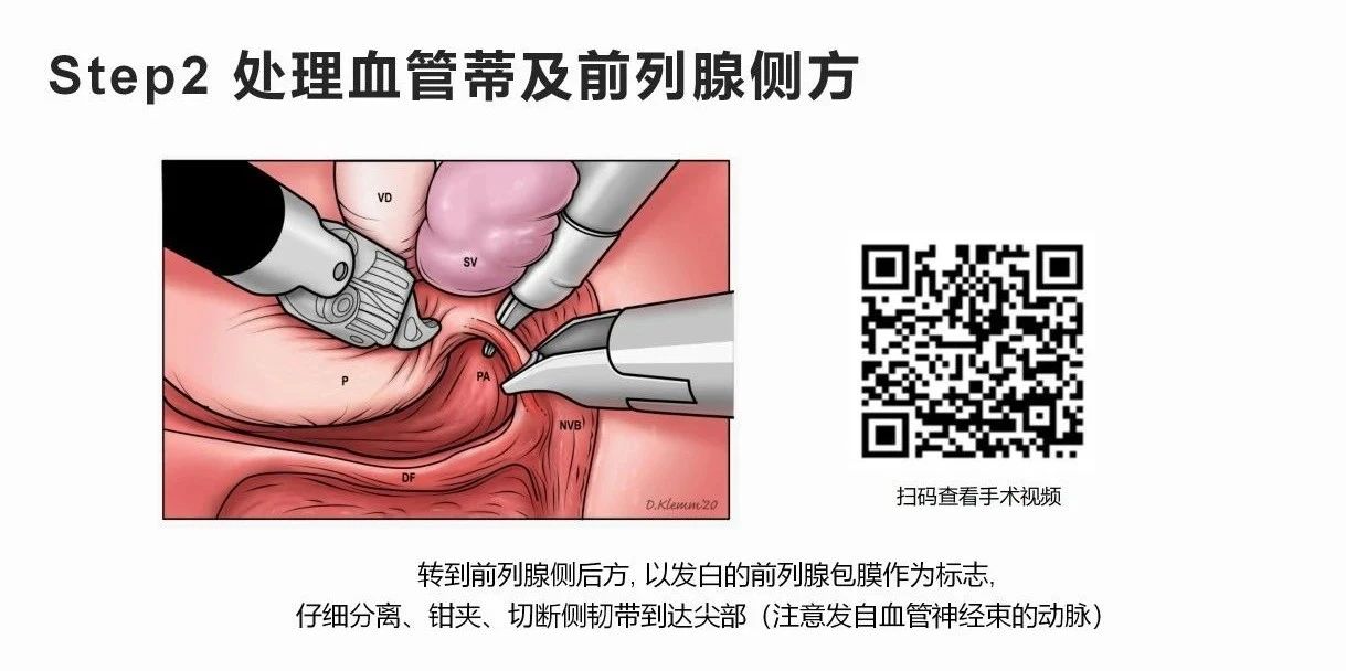 1742802569827772.jpg 微信图片_20250324154458.jpg
