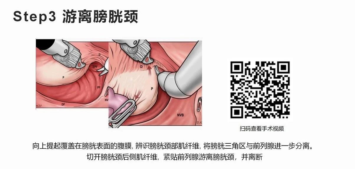 1742802575952432.jpg 微信图片_20250324154501.jpg