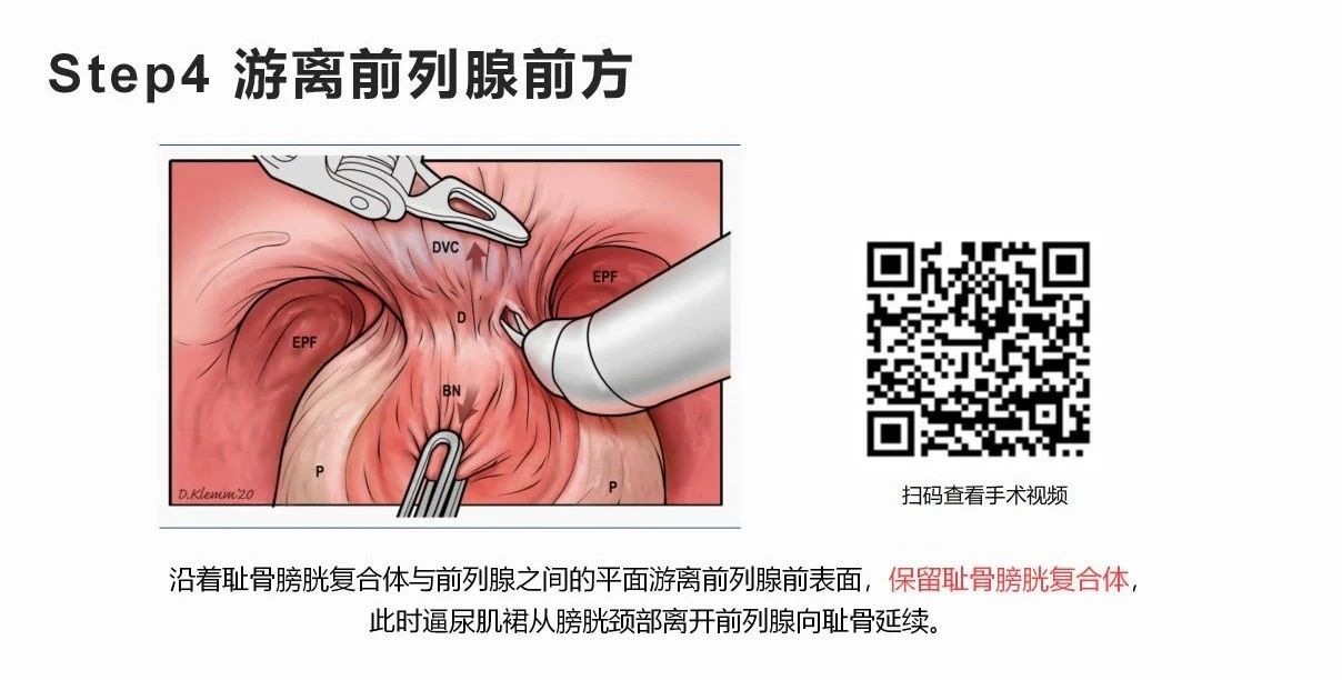 1742802580642213.jpg 微信图片_20250324154503.jpg