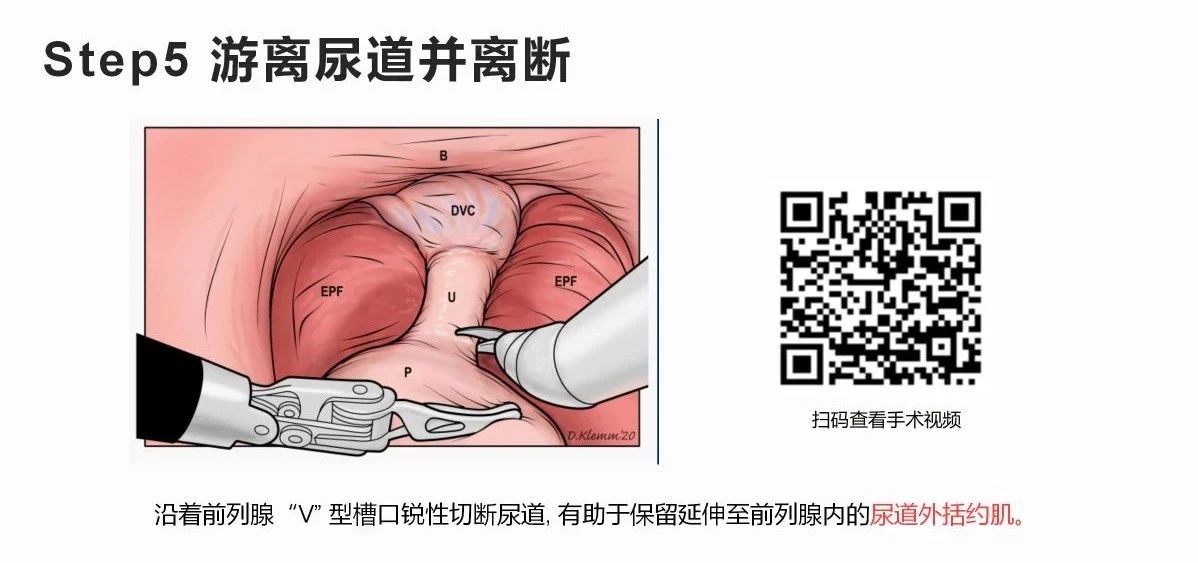 1742802585332034.jpg 微信图片_20250324154506.jpg