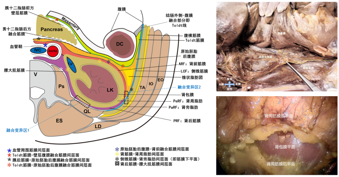 1743054428199274.png 微信图片_20250327134657.png