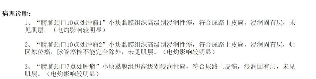 1743056261264362.jpg 微信图片_20250327141723.jpg