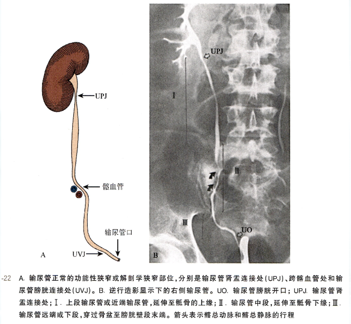 1744858900258830.png 微信图片_20250417110125.png