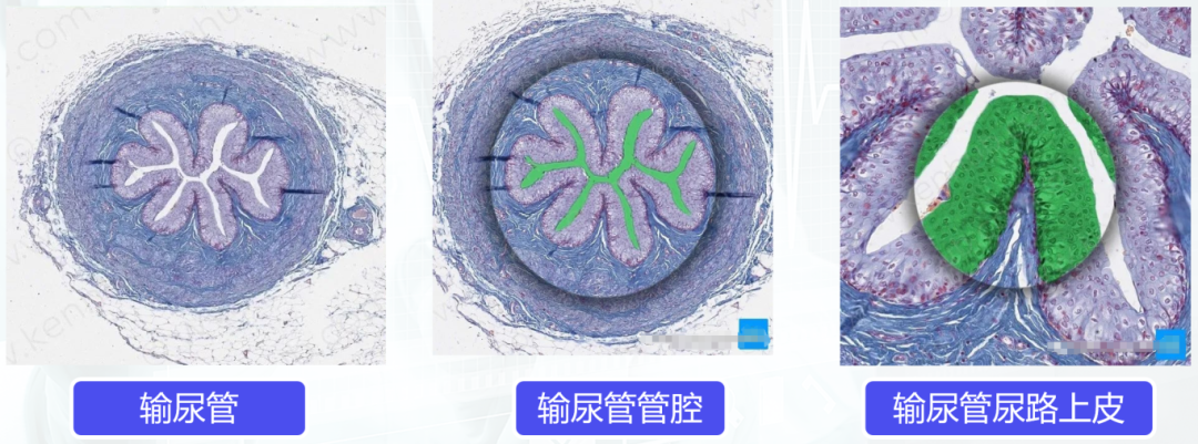 1744859028771076.png 微信图片_20250417110327.png