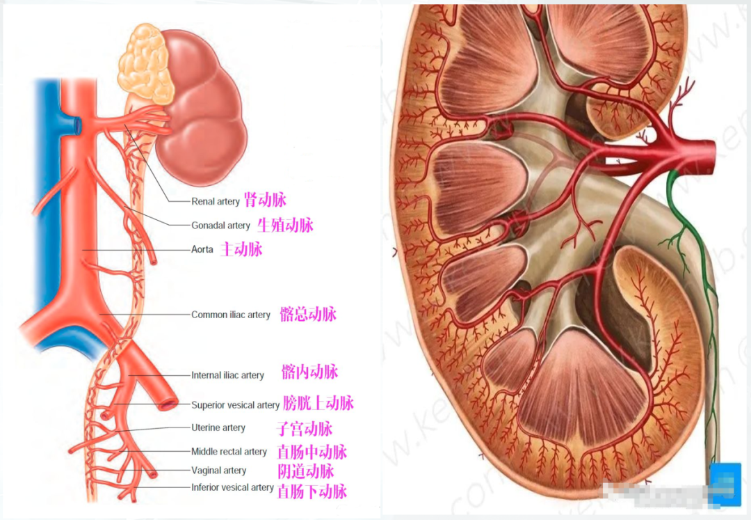 1744859087542053.png 微信图片_20250417110428.png