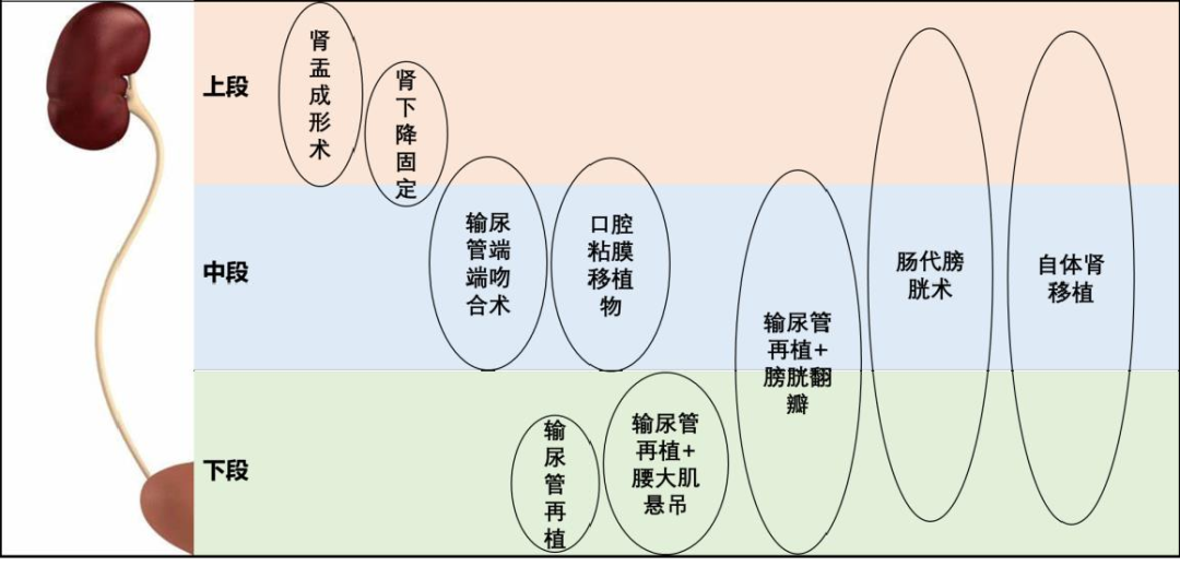 1744859621566842.png 微信图片_20250417111324.png