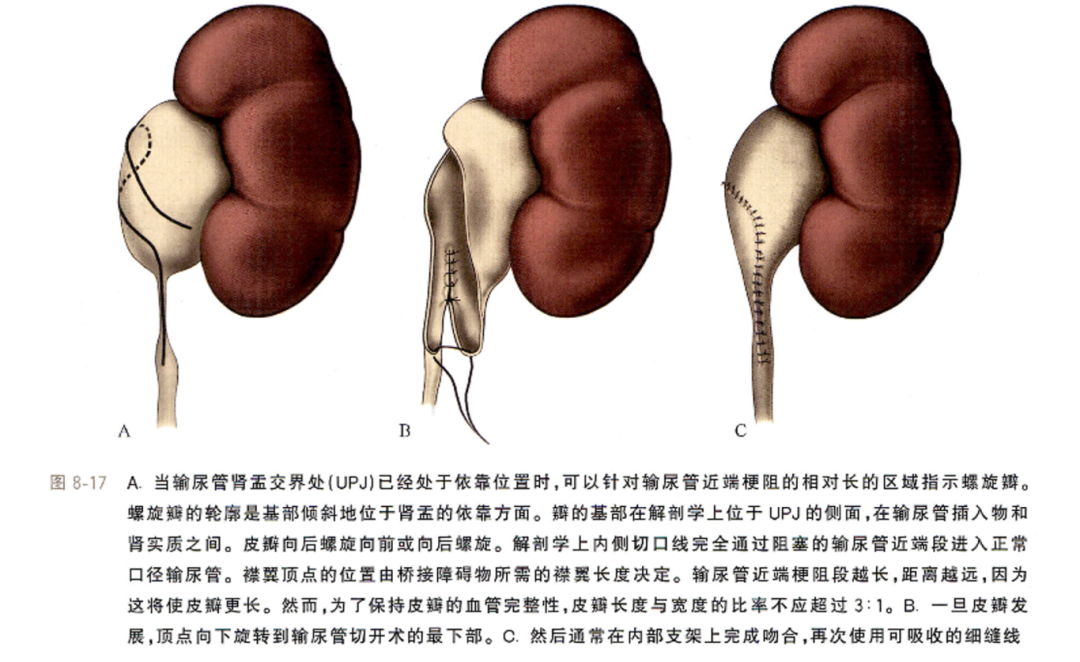 1744859729869692.png 微信图片_20250417111512.png