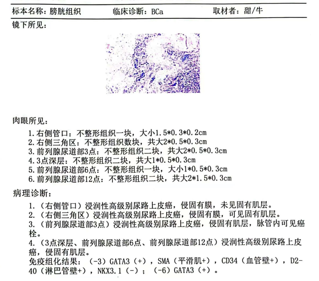 1744861061615734.png 微信图片_20250417113715.png