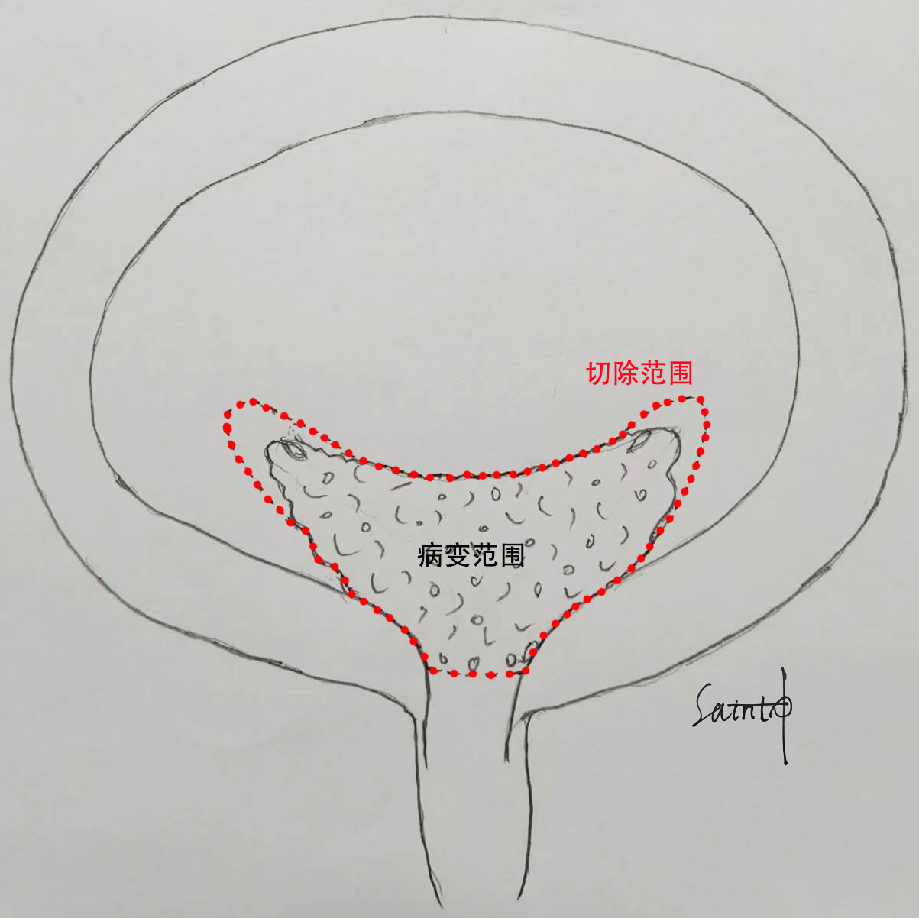 1747294543545049.png 微信图片_20250515153532.png