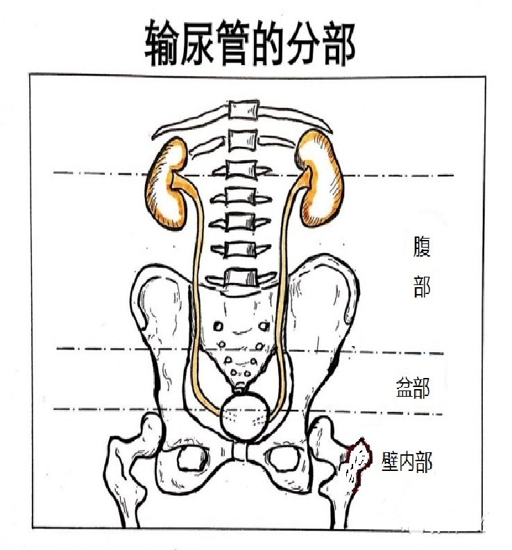 1747362924544457.png 微信图片_20250516103514.png