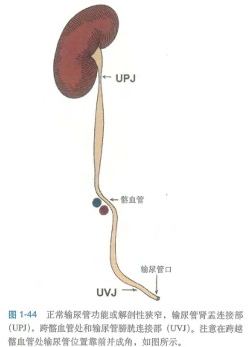1747362938209715.jpg 微信图片_20250516103529.jpg