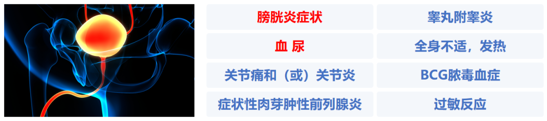微信图片_20250516105500.png