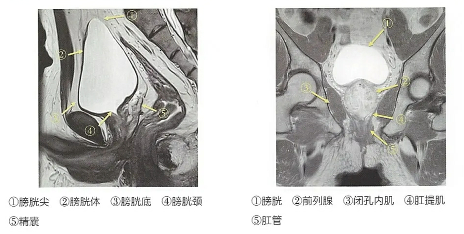 1747375537358623.png 微信图片_20250516114011.png