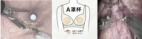 1747377093688588.png 微信图片_20250516143125.png