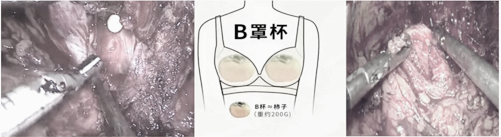 1747377106173210.png 微信图片_20250516143138.png
