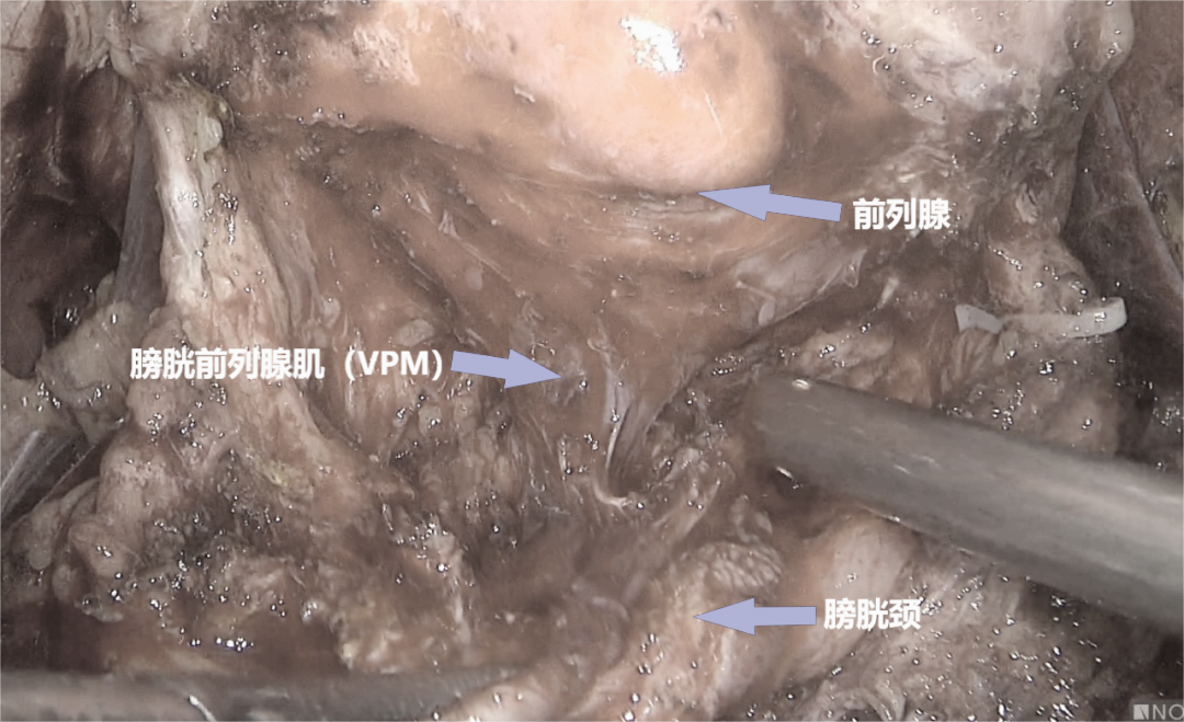 1747377146457247.png 微信图片_20250516143216.png