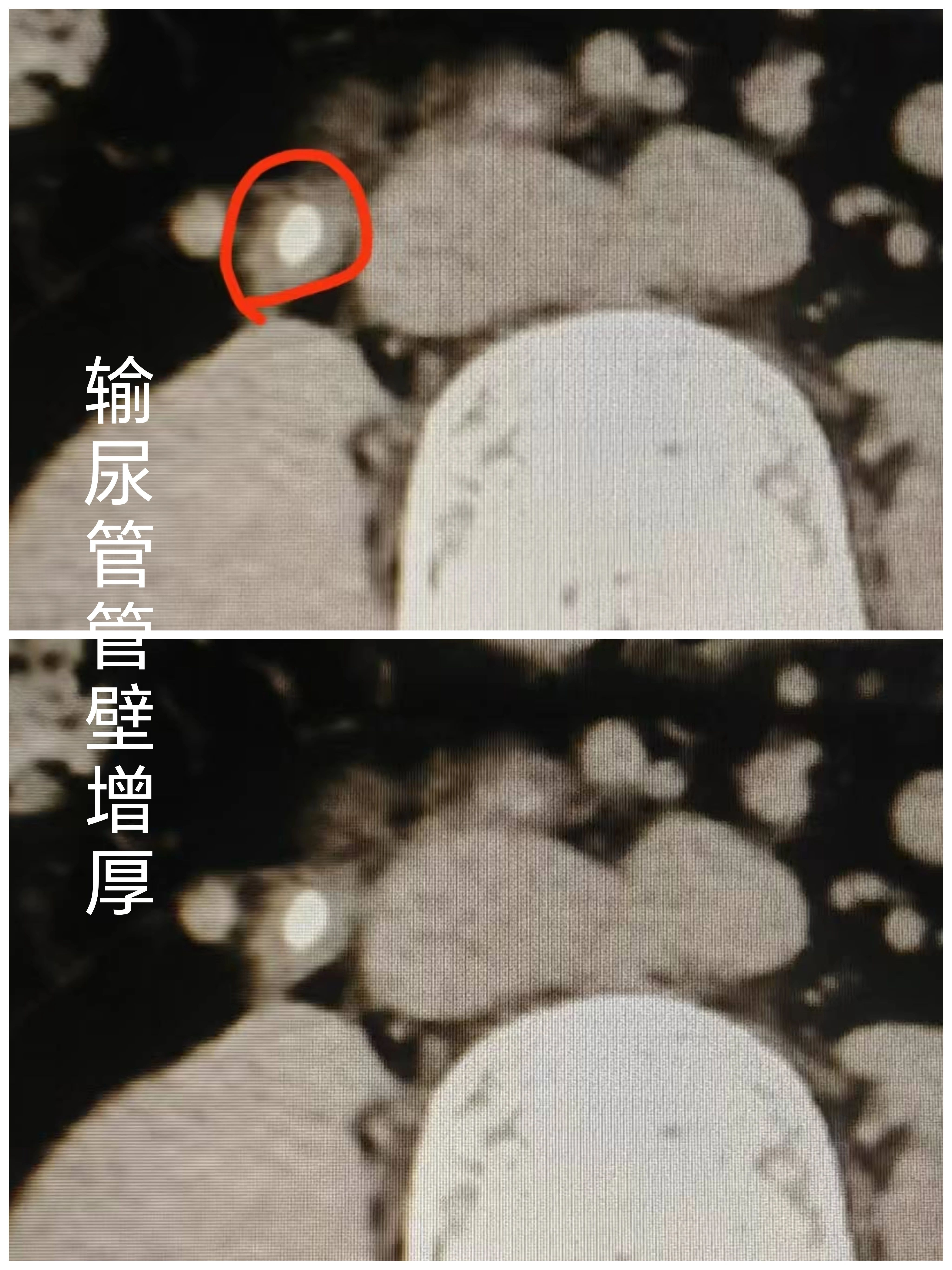 1748575509745448.jpg 微信图片_20250530112459.jpg