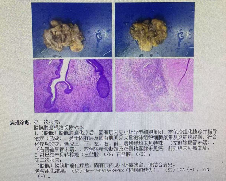微信图片_20250530141735.png