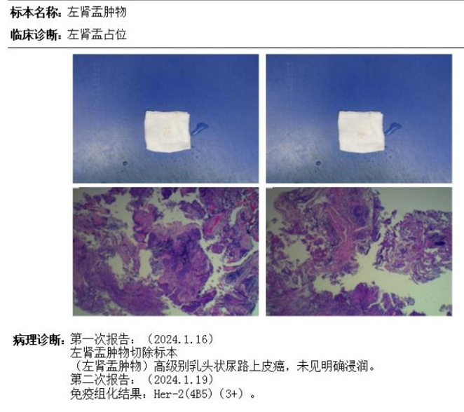 微信图片_20250530141830.png
