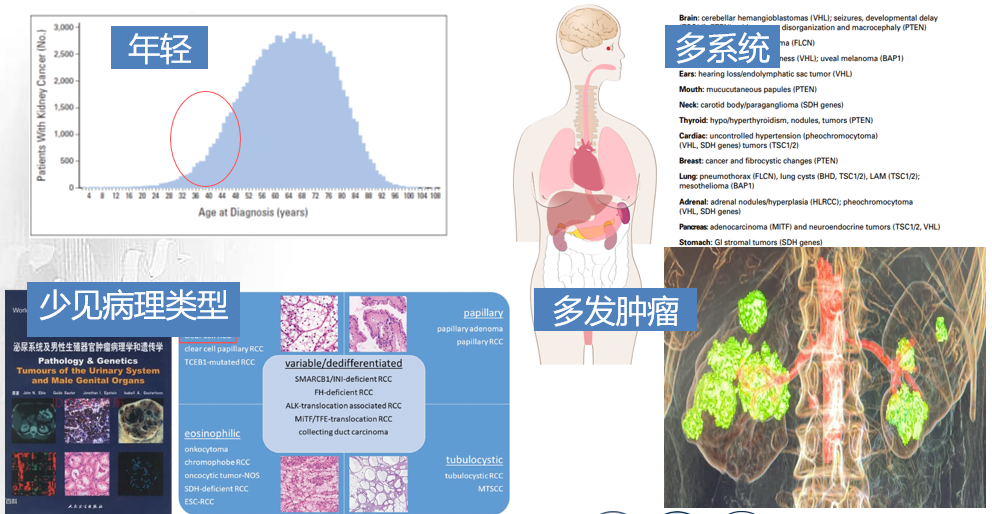 1748586337503451.png 微信图片_20250530142521.png
