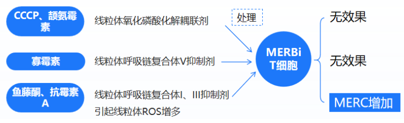 微信图片_20250623112258.png