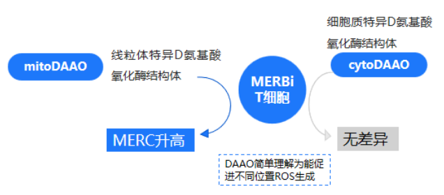 微信图片_20250623112421.png