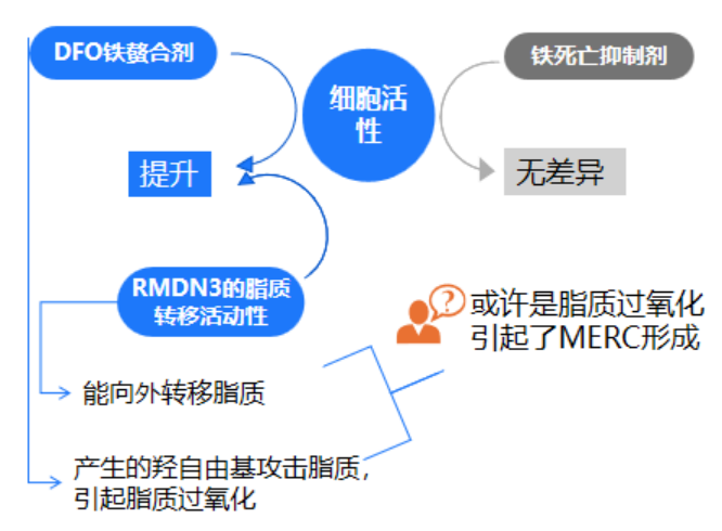 微信图片_20250623112739.png