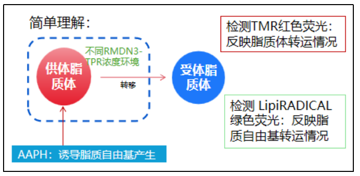 微信图片_20250623112838.png