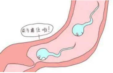 1754555297943065.png 微信图片_20250807162807.png