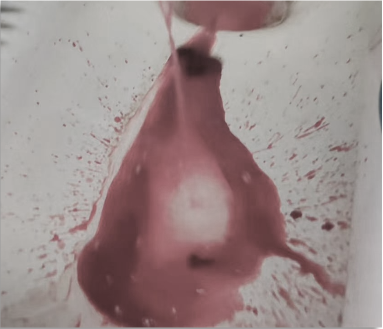 1755067241773803.png 微信图片_2025-08-13_143626_487.png